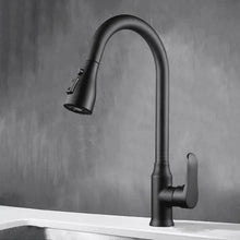 Carregar imagem no visualizador da galeria, Torneira cozinha DuoFlex Preto