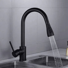 Carregar imagem no visualizador da galeria, Torneira cozinha DuoFlex Preto