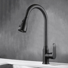 Torneira cozinha DuoFlex Preto
